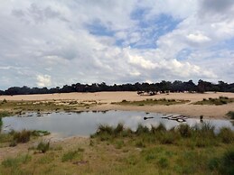 Chalet Near Drunense Dunes