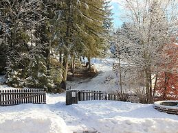 Chalet in Mariapfarr Near ski Area