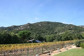 Villa in Plan-de-la-tour With Pool & Vineyard Views