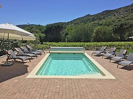 Villa in Plan-de-la-tour With Pool & Vineyard Views