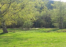 Quiet Chalet With Garden