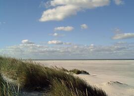 Bungalow in Nes on Ameland With Spacious Terrace