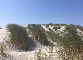 Bungalow in Nes on Ameland With Spacious Terrace
