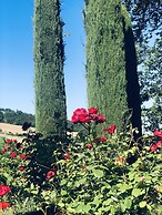 Villa Bella Rosa