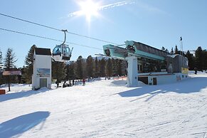 Luxurious Chalet in Murau With Sauna