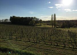 Tranquil Escape in Dordogne