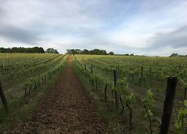 Tranquil Escape in Dordogne