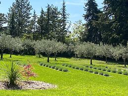 Country House in Provence With Garden Access