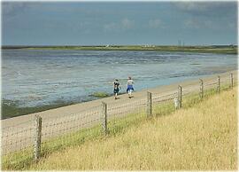 Holiday Home Near Lutjestrand Beach