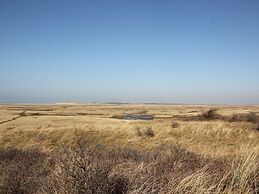 Bungalow in Texel Near De Slufter Reserve