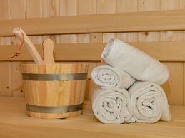 Luxury Apartment in Koudekerke With Sauna