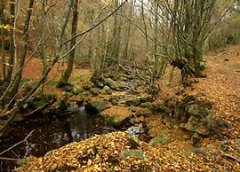 Historic Hideaway in Exbomont