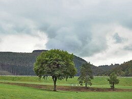 A Large Family House