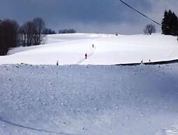 Apartment in Sonnen Near Ski Lifts