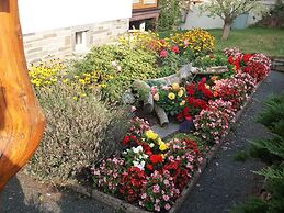 Nature & Wellness in Sohl