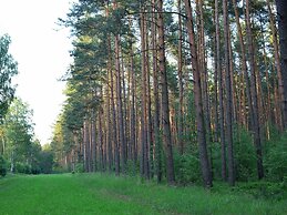 Forest Getaway in Berlin