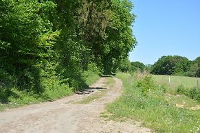 Peaceful Forest Stay in Gesves