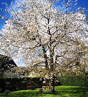 Gustow Garden Retreat