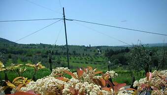 Getaway Amidst Vineyards