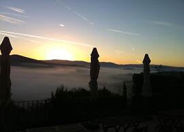 Getaway Amidst Vineyards