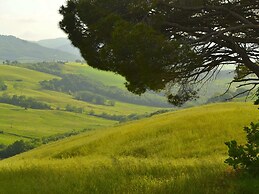 Getaway Amidst Vineyards