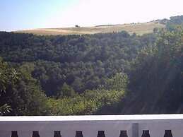 Morbach Hillside Mansion