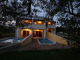 Holiday Home in Novigrad With Private Pool
