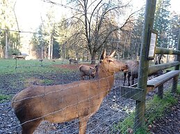 Schones Ferienhaus mit Grossem Garten bei Stadlern