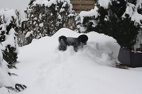 Stilvolle Wohnung in Stormbruch mit Garten