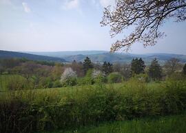 Group Cottage in Lierneux