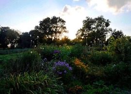 Geraeumige Ferienwohnung in Boddin mit Garten