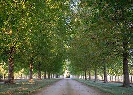 Romantic Loire Hideaway