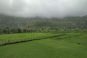 Touchwood Bliss