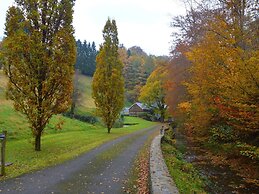 Plush Mill in Vresse-sur-semois With Pool & Sauna