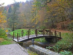 Plush Mill in Vresse-sur-semois With Pool & Sauna