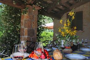 Farmhouse in Proceno With Pool Views