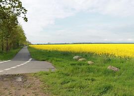 Idyllische Wohnung an der Ostseekueste