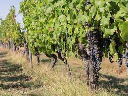 Guest House in Monferrato With Wine Tasting