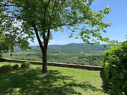 Villa in Tuscany With Pool and Wine Tasting