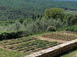 Villa in Tuscany With Pool and Wine Tasting