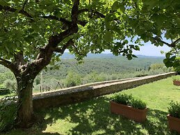Villa in Tuscany With Pool and Wine Tasting
