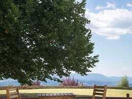 Villa in Tuscany With Pool and Wine Tasting