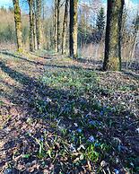 Group Escape in Vielsalm