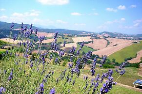 Flat in Piticchio With Scenic Views & Pool