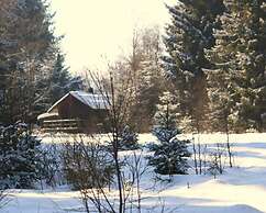 Cozy Forest Chalet Escape