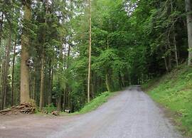 Apartment mit Spass, Muhlenbach