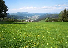 Apartment mit Spass, Muhlenbach