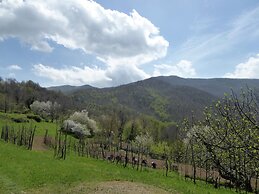 Cottage in Casoli Near Ski Slopes
