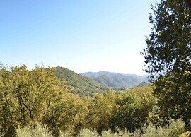 Cottage in Casoli Near Ski Slopes