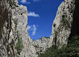 Relax & Explore in Dalmatia
